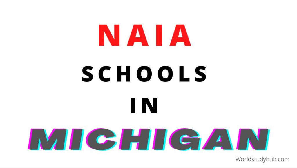 Naia schools in Michigan