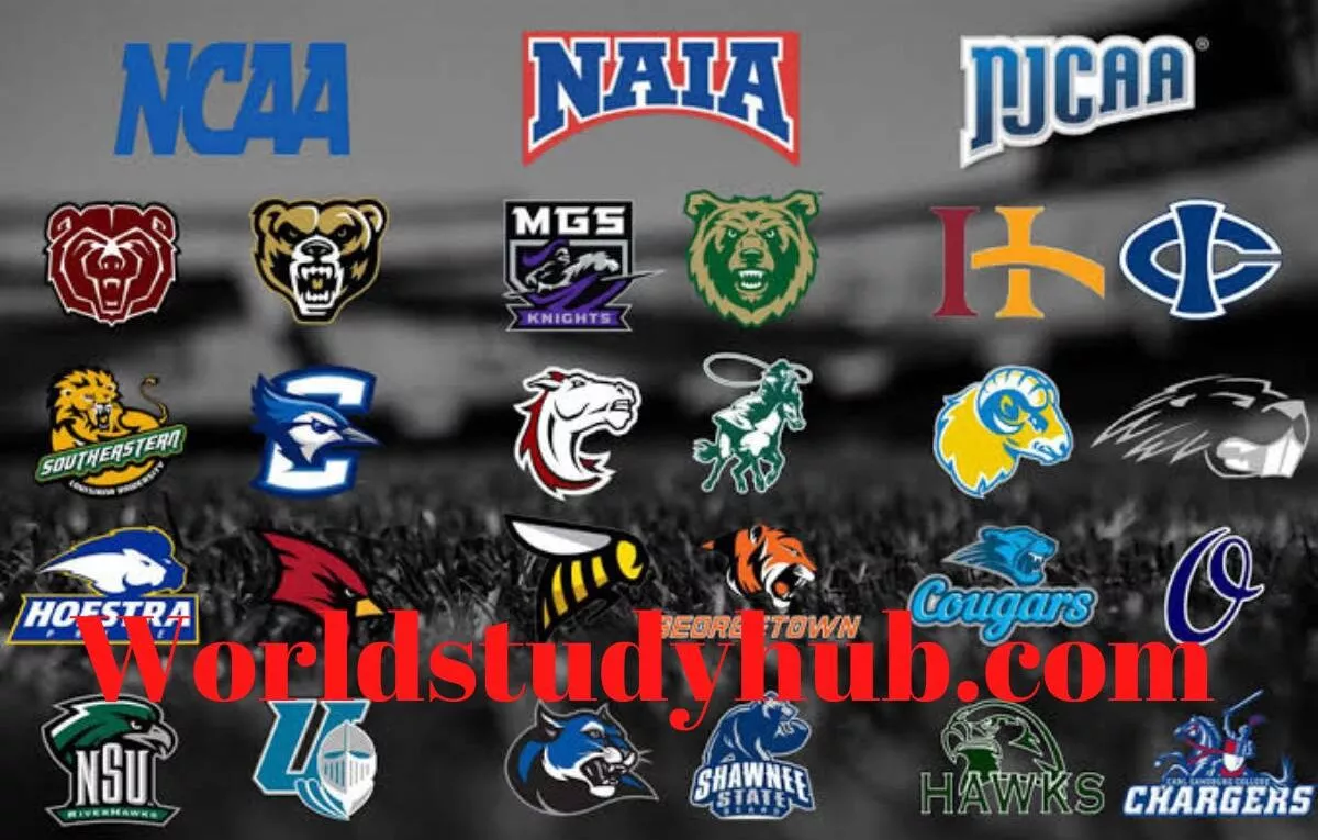 50 Best NAIA Schools