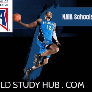 NAIA Schools in Georgia