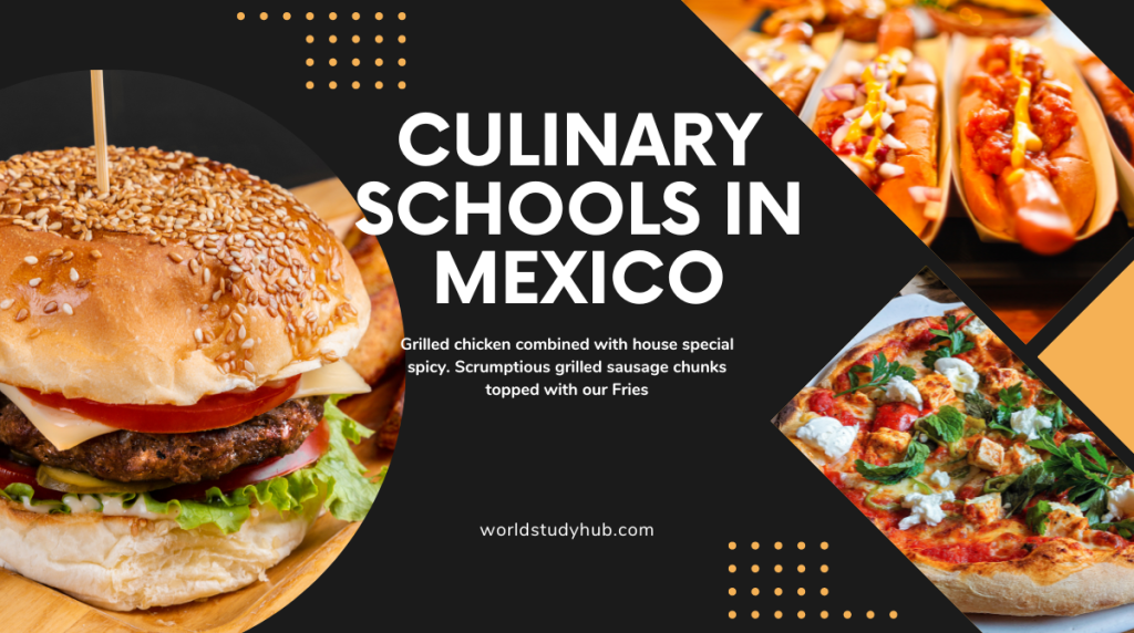 Culinary Schools in Mexico