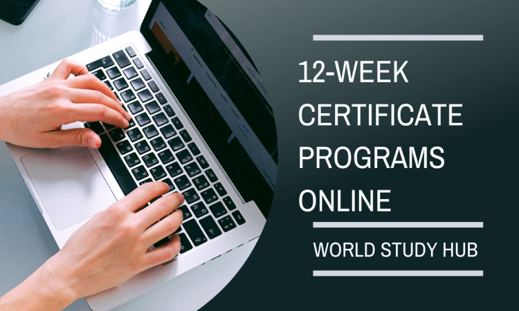 12-week-certificate-programs-online