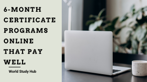 6-Month-Certificate-Programs-Online-That-Pay-Well