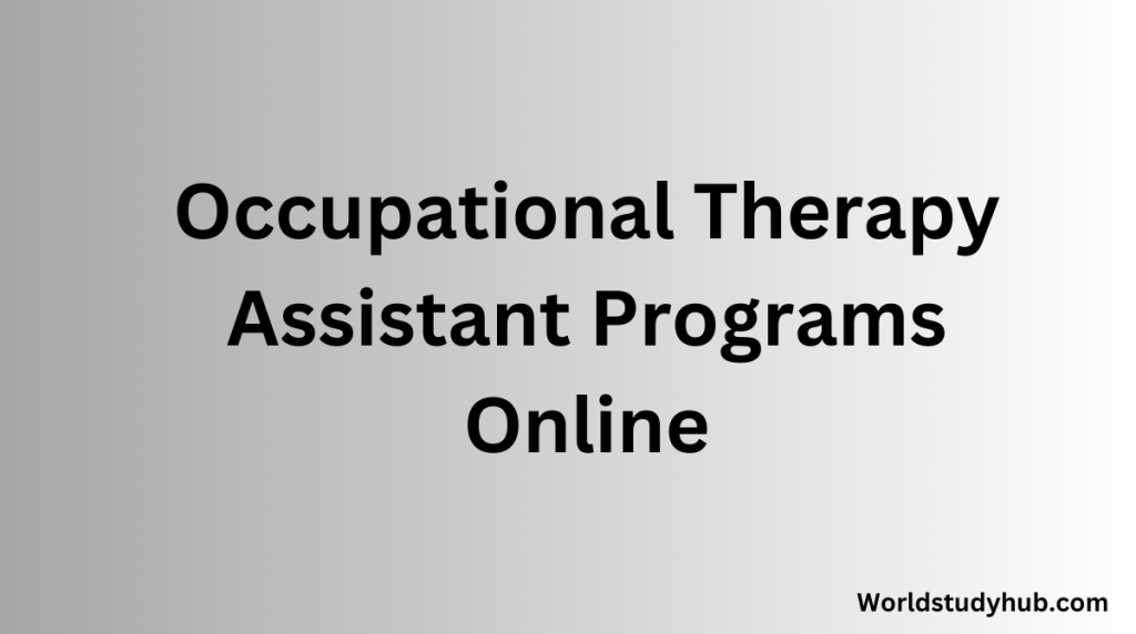 10 Best Occupational Therapy Assistant Programs Online 2024