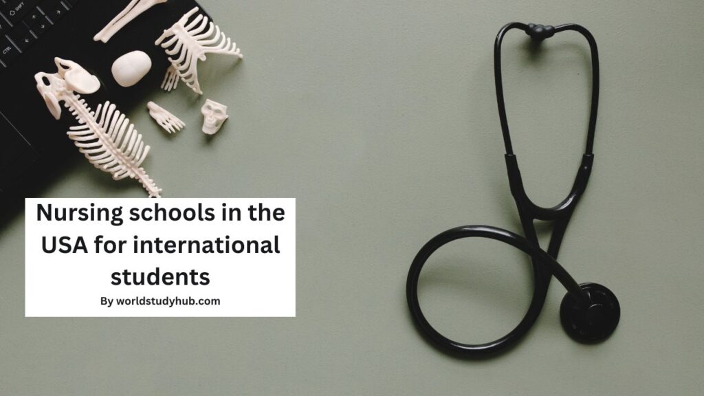 Nursing schools in the USA for International Students
